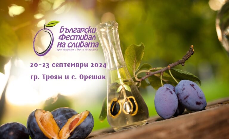 plum_fest_2024